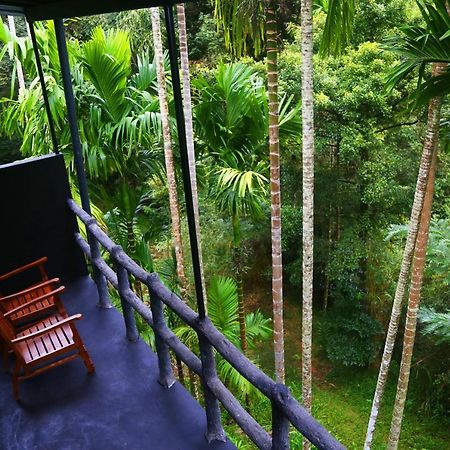 Cool Garden Belihuloya Hostel Exterior photo
